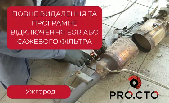 Видалення сажевого фільтра на клапна EGR в Ужгороді